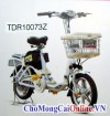 Xe đạp điện bình 48V, bánh 16, tốc độ tối đa 35Km/h (TDR10073Z)