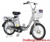 Xe đạp điện TDN208Z(20)