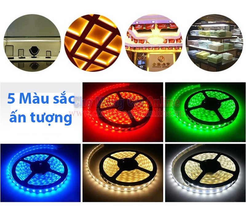Den-LED-day-dan-3528-cuon-5m2