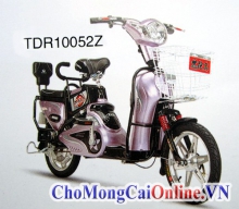 Xe đạp điện bình 48V, bánh 18, tốc độ tối đa 35Km/h (TDR10052Z)
